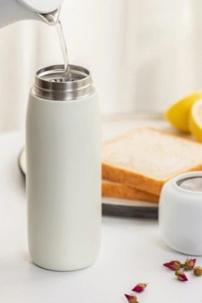 Thermos Xiaomi: caractéristiques et aperçu du produit