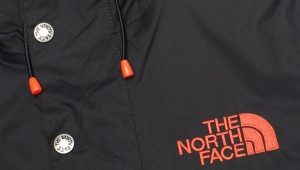 The North Face Anoraks 