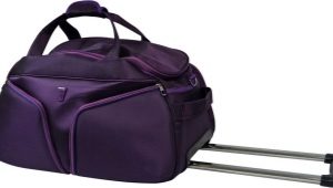 Bolsa con ruedas con asa retráctil: trolley, maleta, hockey, plegable, Dakine