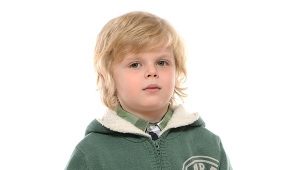 Children's sweatshirts for boys - comfort and style!
