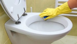 Tuvalet nasıl temizlenir?