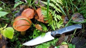 Couteau cueilleur de champignons: règles de sélection et caractéristiques d'utilisation