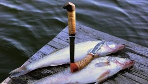 Cuchillos de pesca: tipos y sutilezas de elección.