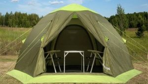 Lotus tents: features and best models