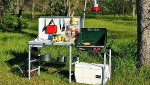 Camp kitchen: features, types and subtleties of choice