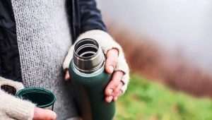 Thermos: caractéristiques, variétés et recommandations pour choisir