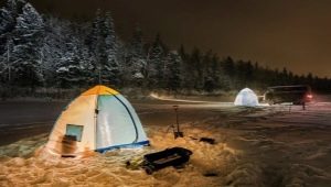 Kış çadırları Ayı: seçim için çeşitler ve ipuçları