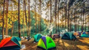 Camping: qu'est-ce que c'est, types et règles de conduite