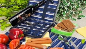 Picnic sets: types, tips for choosing and caring