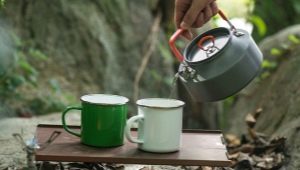 Varieties and features of the choice of camping teapots