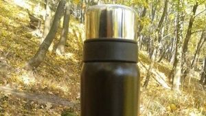 Thermos Tramp: caractéristiques et recommandations pour choisir