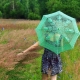 paraguas verde