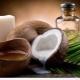 How to use coconut oil for hair