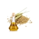 Wheat germ cosmetic oil