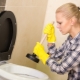 Jak čistit toaletu: typy ucpání a metody odstraňování problémů