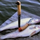 Balıkçılık bıçakları: seçim çeşitleri ve incelikleri