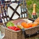 Coșuri de picnic: tipuri și reguli de selecție
