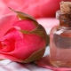 How to prepare rose water at home? 